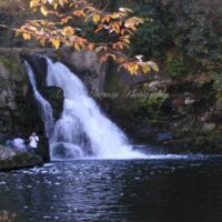 Waterfalls