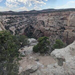 Colorado NM 1
