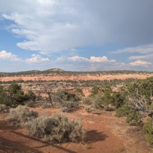 Colorado NM 3