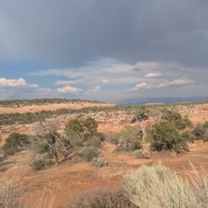 Colorado NM 4