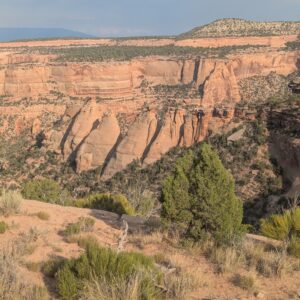 Colorado NM 8