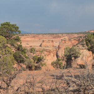 Colorado NM 10